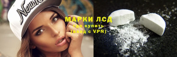 ПСИЛОЦИБИНОВЫЕ ГРИБЫ Балахна