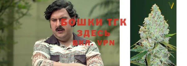 ПСИЛОЦИБИНОВЫЕ ГРИБЫ Балахна