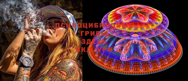 ПСИЛОЦИБИНОВЫЕ ГРИБЫ Балахна