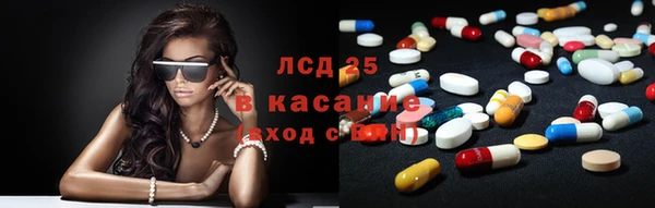 ПСИЛОЦИБИНОВЫЕ ГРИБЫ Балахна